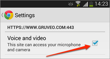 Access Phone Camera From Browser - 