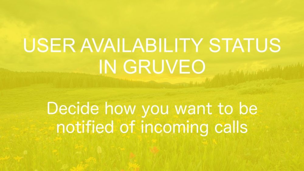 Support for user availability status in Gruveo